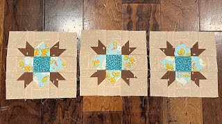Barn Star Sampler Quilt Block #13