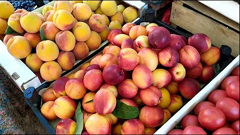 Какие фрукты в Махачкале в августе