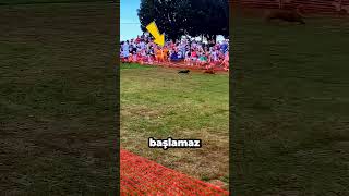 Köpeğin İnanilmaz Plani Ağlattı