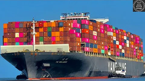 30 MINUTES OF 4K PORT LOS ANGELES SUMMER SHIPSPOTTING - June 2024