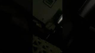 IMG 2829
