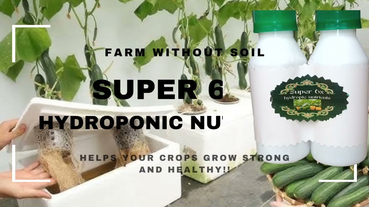Super 6x Hydroponic Nutrient