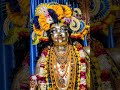 hare Krishna/ radhe radhe