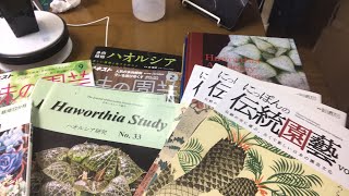 【多肉植物】ハオルチア関連の書籍紹介！生放送　haworthia succulents ビザールプランツ