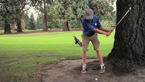 Master Any Skill in 10,000 Hours?