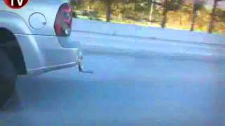 Sakın Bırakma Woody