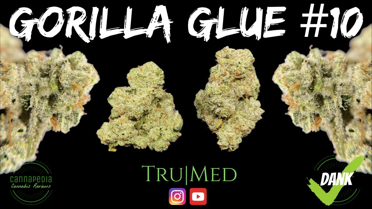Gorilla Glue #10 Strain Review - Tru|Med - Cannapedia
