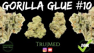 Gorilla Glue #10 Strain Review - Tru|Med - Cannapedia