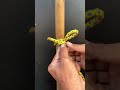 A knot that opens after being tied. #ideas #usefulknot #diyprojects #diy #knot #diycrafts #newidea