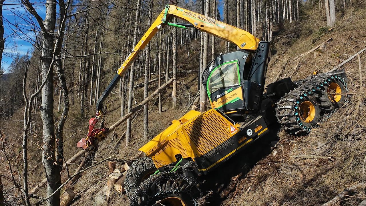 🌲 Forest Peg * Käfer - Starkholz / MS500i 🌲 3 : #