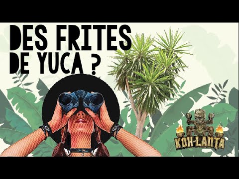 Vidéo: Les frites de yuca sont-elles bonnes ?