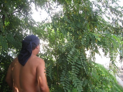 NorthWest Economic Expedition - Naked Asian Men In the Woods - YouTube