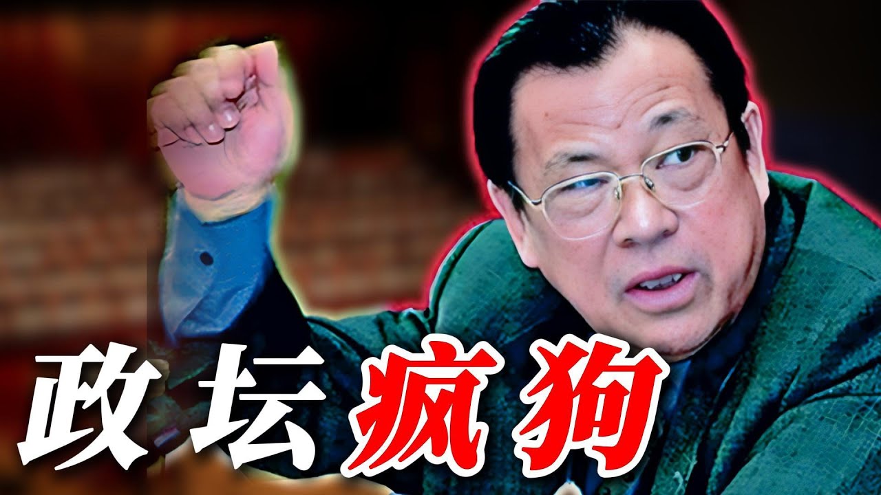 程维高 - 悍不畏死的斗士 怼天怼地的疯狗 - 儿子上红通 秘书被执行死刑 自己却平安落地