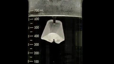 Essemplex 3D Printable Shape Memory Polymer - Fortune Cookie