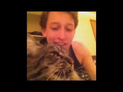 Bon Jovi the cat has some serious anger issues