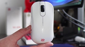 GLOSSY Mice in 2025! IS ZOWIE BACK? (squeaking)