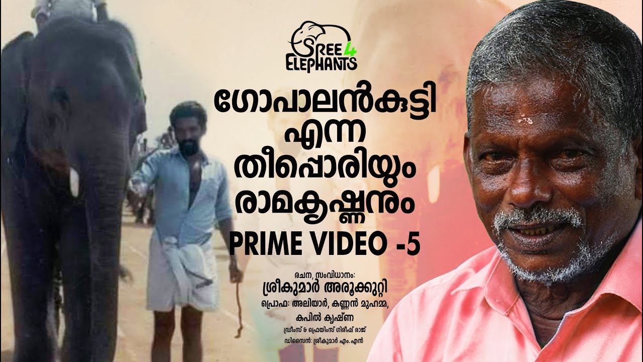 അടുത്തത് ആന എന്റെ നേർക്കാ വര്വാ... ഞാൻ പുഴയിലേക്ക് എടുത്തുചാടി.