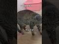雪解け【ひまわり0-19.20】