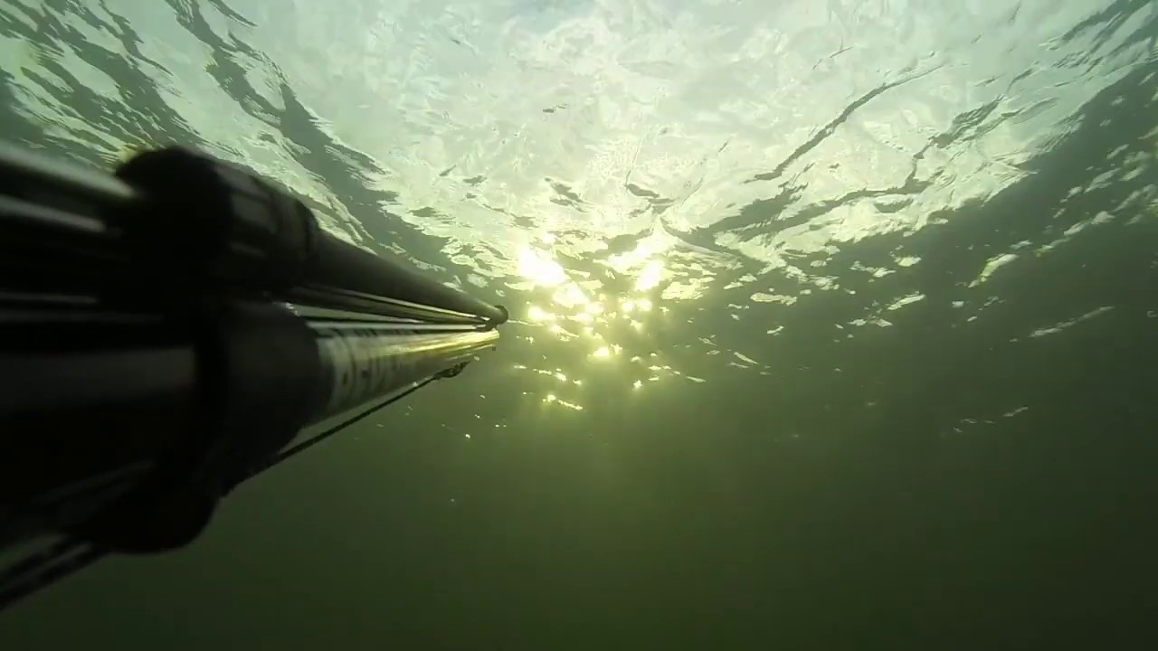 Spearfishing In Ice Cold Water YouTube