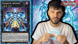 How every new Yugioh player will react to dueling Splight