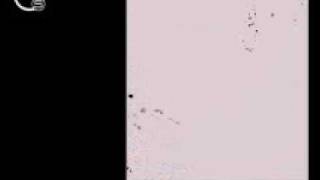 dj SPIRO - Cirimido