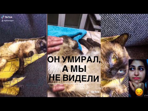 Он Очень Хотел Жить Мы Сделали Все Что Могли, Но Было Поздно