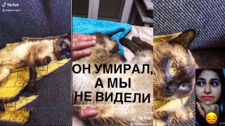 Он очень хотел жить😓 мы сделали все что могли, но было поздно😭 Он очень хотел жить😓 мы сделали все что могли, но было поздно😭