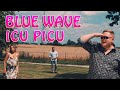 Blue wave  icu picu official 2021