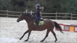 [cours de saut- CSO] 19 octobre W/Ciboulette