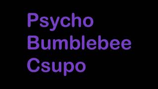 Psycho Bumblebee Csupo Logo