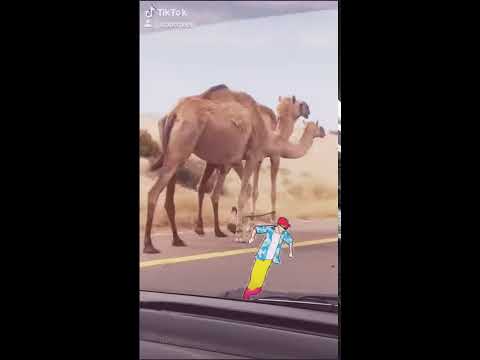 GT Road Abrarulhaq 90s Song