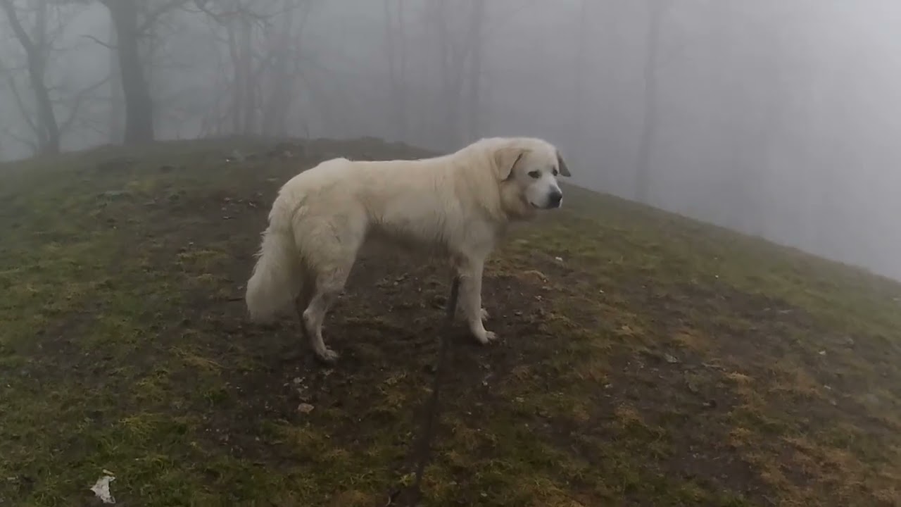 Orešianske kopce ⛰️, ... na ľade a blate 🥾