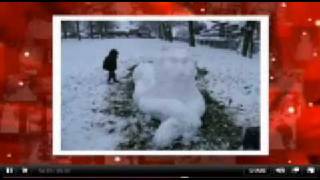 Snow Animals On Bbc1 The One Show 20080205