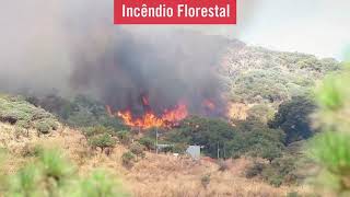 Incêndios Florestais E Fogos