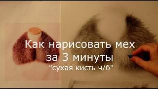 Как нарисовать мех за 3 - 7 минут. "Сухая кисть" - урок для начинающих и продвинутых. Как нарисовать мех за 3 - 7 минут. "Сухая кисть" - урок для начинающих и продвинутых.