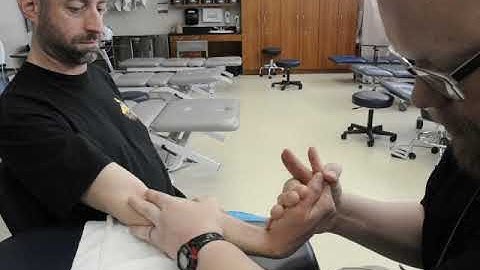 Manual Muscle Test for Wrist Flexion and Ulnar Deviation