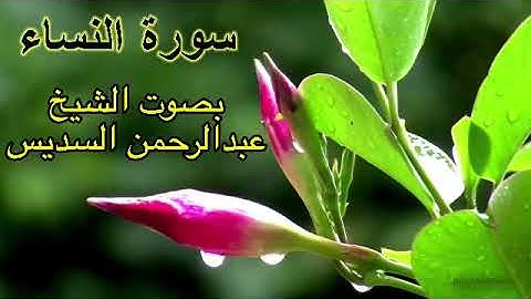سورة النساء كاملة بدون اعلانات بصوت الشيخ عبدالرحمن السديس