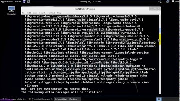 How to Install Software in Kali Linux
