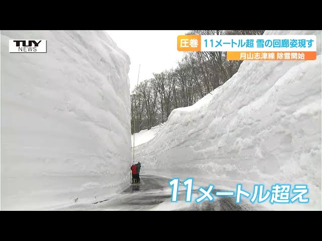 こんなの見たことない！雪の回廊は驚異の11メートル超え！ 春の訪れを