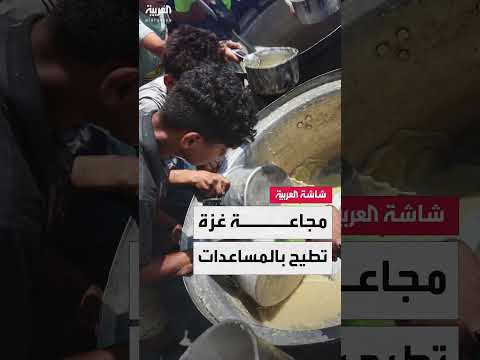 هدنة مؤقتة في غزة واستيلاء على شاحنات مساعدات