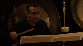Percussionist Christian Martinez playing Live from Esbjerg Intrada op.149 by Axel Borup-Jørgensen