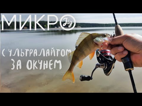 Нашел окуня на