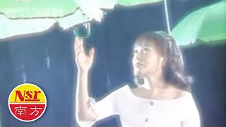 龙飘飘Long Piao Piao I 龙腔雅韵VOL.2【落叶飘雨】