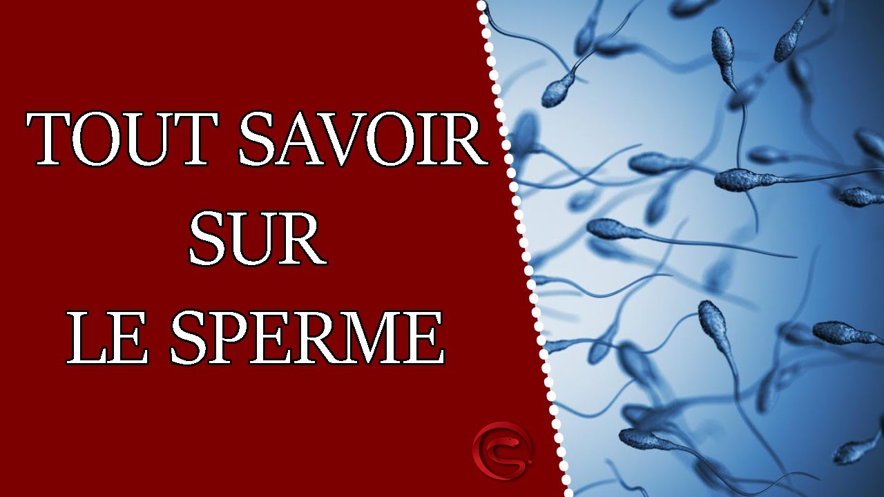 Tout savoir sur LE SPERME (spermatozoïdes, liquide pré ...