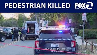 Pedestrian killed near Almaden Expressway in San Jose | KTVU screenshot 4