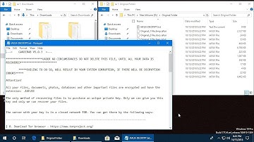 AppCheck Anti-Ransomware : GandCrab v5.0.3 Ransomware (.{5~10 Digit Random Extension}) Block Video