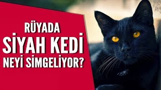 Ruyada Siyah Kedi Gormek Mehmet Emin Kirgil Youtube