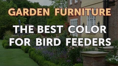The Best Color for Bird Feeders