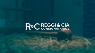 REMATE TELEVISADO - Paso de los Libres, Ctes.
