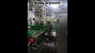 Fully automatic bottle inspection machine